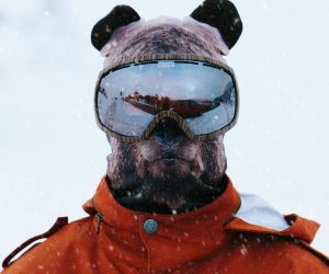 Bear Ski Mask