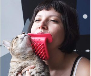 Cat Lick Brush